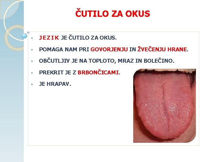 ČUTILO ZA OKUS • J E Z I K JE ČUTILO ZA OKUS. •