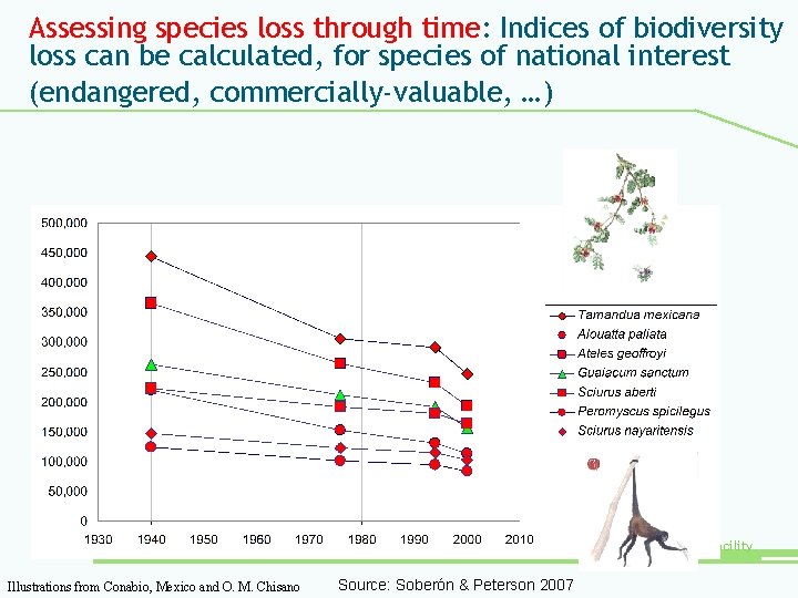 Assessing species loss through time: Indices of biodiversity loss can be calculated, for species
