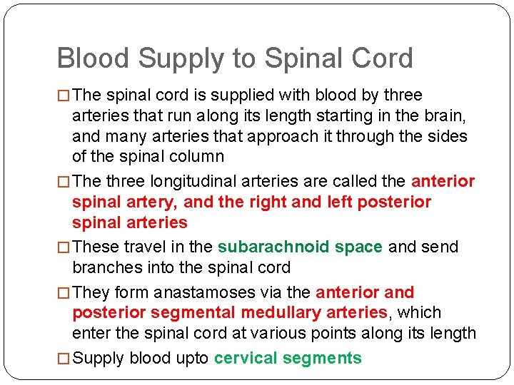 Blood Supply to Spinal Cord � The spinal cord is supplied with blood by