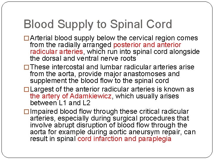 Blood Supply to Spinal Cord � Arterial blood supply below the cervical region comes