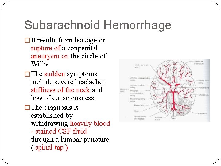 Subarachnoid Hemorrhage � It results from leakage or rupture of a congenital aneurysm on