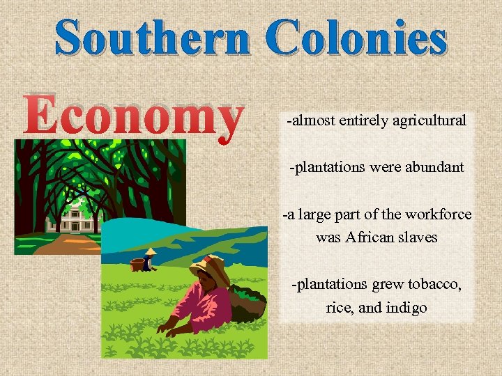 Southern Colonies Economy -almost entirely agricultural -plantations were abundant -a large part of the