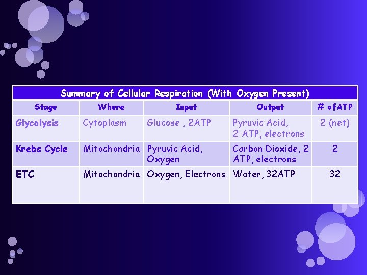 Summary of Cellular Respiration (With Oxygen Present) Stage Where Input Glycolysis Cytoplasm Krebs Cycle
