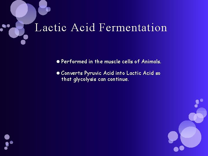 Lactic Acid Fermentation Performed in the muscle cells of Animals. Converts Pyruvic Acid into