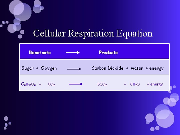 Cellular Respiration Equation Reactants Sugar + Oxygen C₆H₁₂O₆ + 6 O₂ Products Carbon Dioxide
