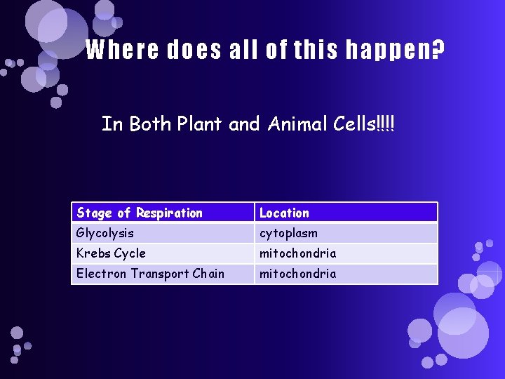 Where does all of this happen? In Both Plant and Animal Cells!!!! Stage of