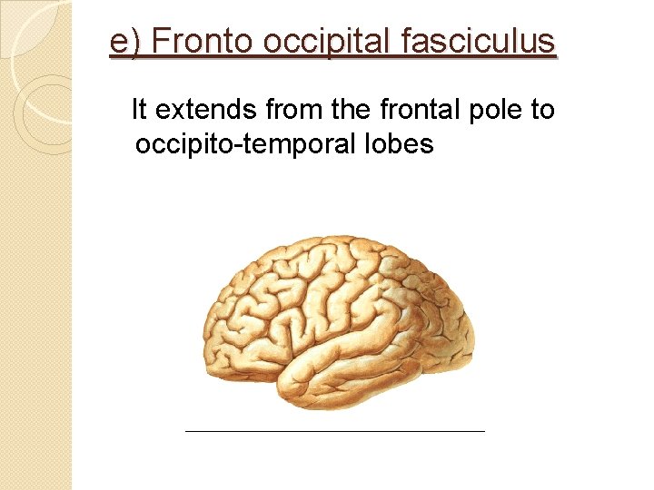 e) Fronto occipital fasciculus It extends from the frontal pole to occipito-temporal lobes 