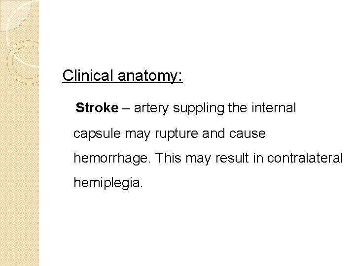 Clinical anatomy: Stroke – artery suppling the internal capsule may rupture and cause hemorrhage.