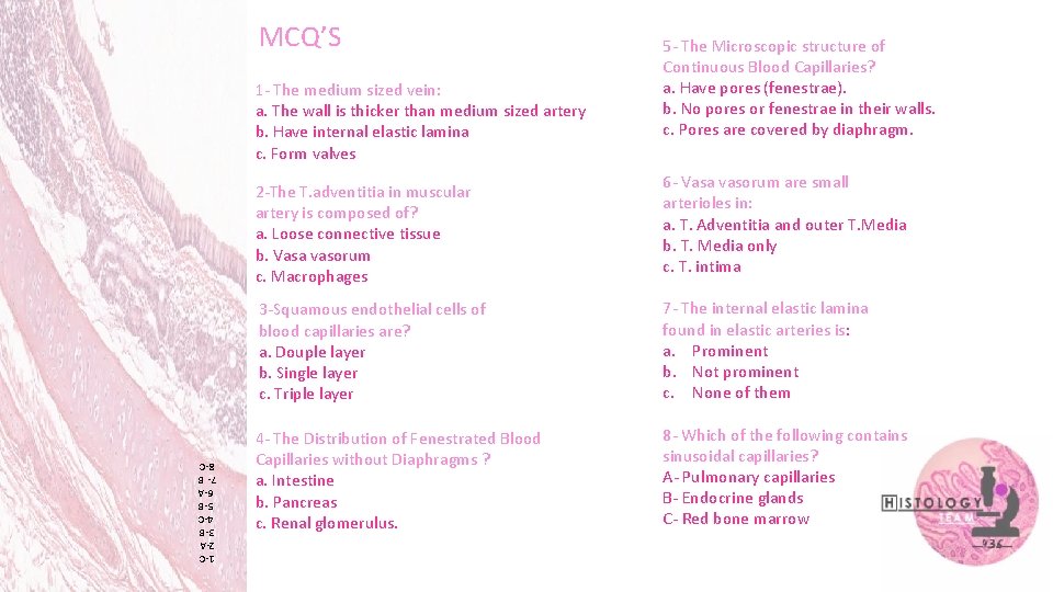 MCQ’S 1 - The medium sized vein: a. The wall is thicker than medium