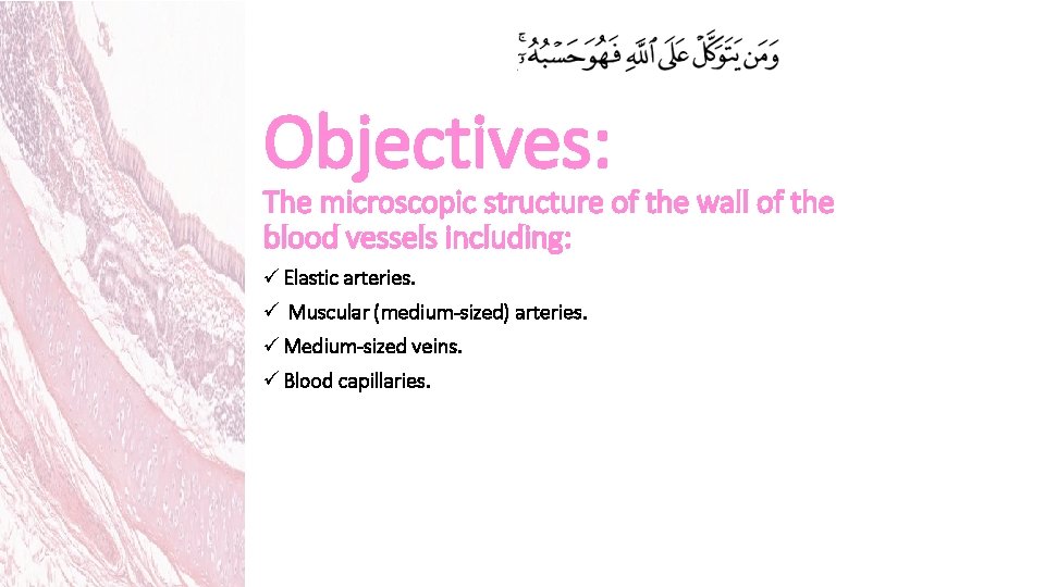 Objectives: The microscopic structure of the wall of the blood vessels including: ü Elastic