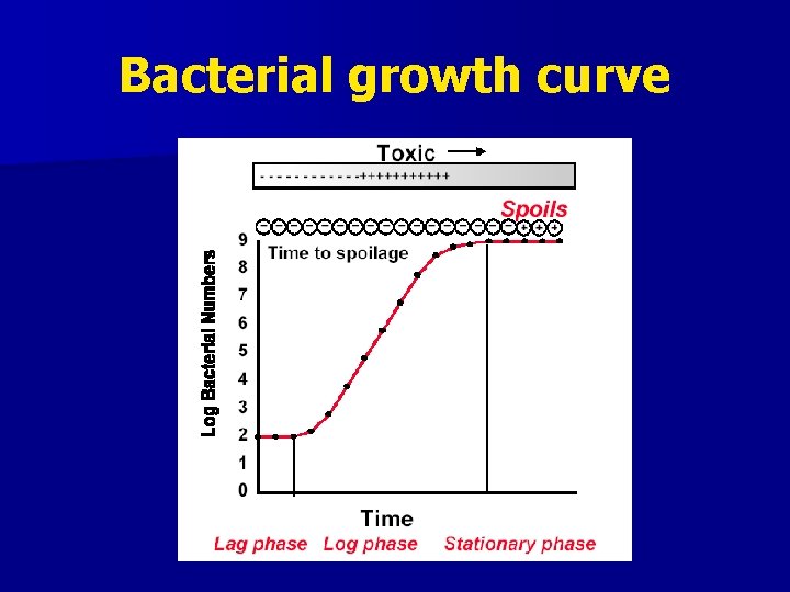 Bacterial growth curve 