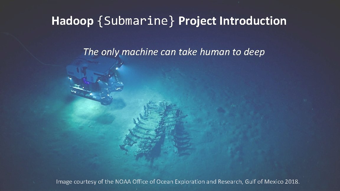 Hadoop {Submarine} Project Introduction The only machine can take human to deep Image courtesy