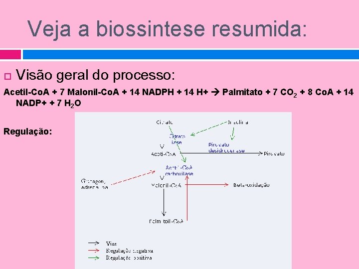 Veja a biossintese resumida: Visão geral do processo: Acetil-Co. A + 7 Malonil-Co. A