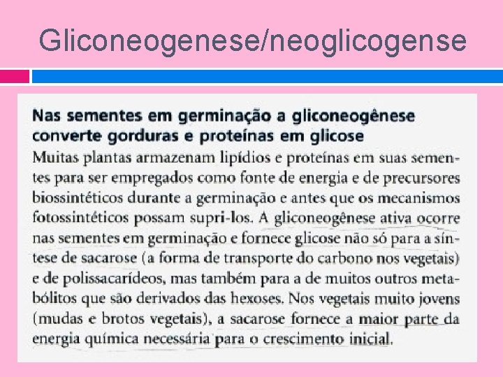 Gliconeogenese/neoglicogense 