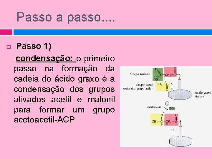 Passo a passo. . Passo 1) condensação: o primeiro passo na formação da cadeia