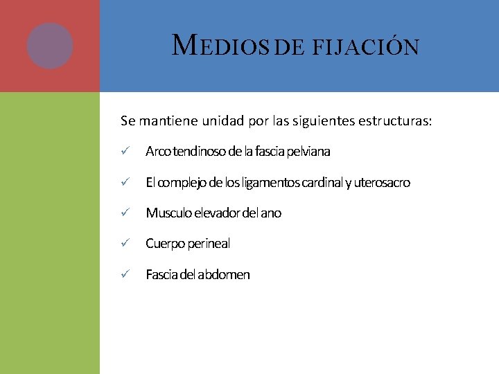 M EDIOS DE FIJACIÓN Se mantiene unidad por las siguientes estructuras: ü Arco tendinoso