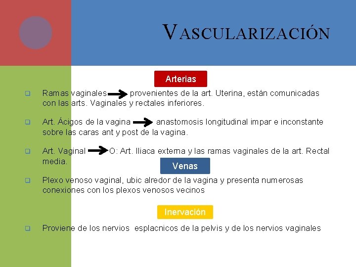 V ASCULARIZACIÓN Arterias q Ramas vaginales provenientes de la art. Uterina, están comunicadas con