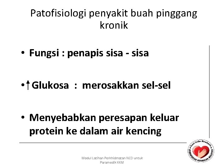Patofisiologi penyakit buah pinggang kronik • Fungsi : penapis sisa - sisa • Glukosa