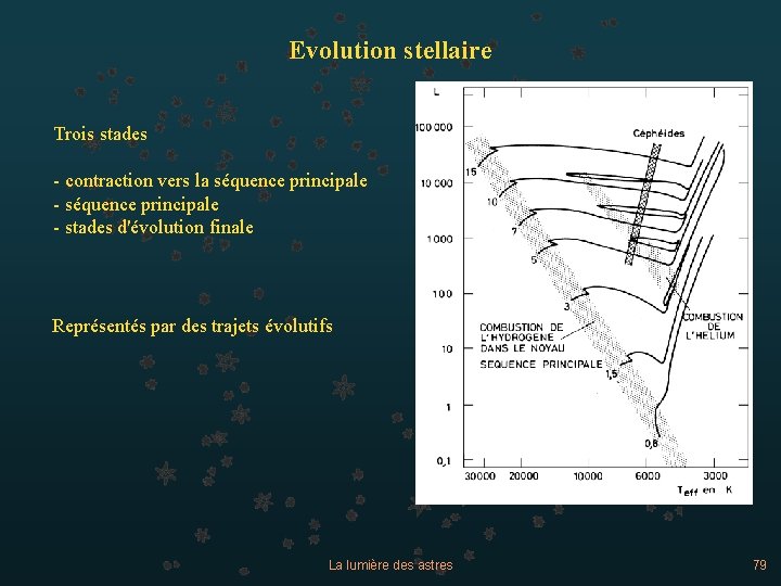 Evolution stellaire Trois stades - contraction vers la séquence principale - stades d'évolution finale