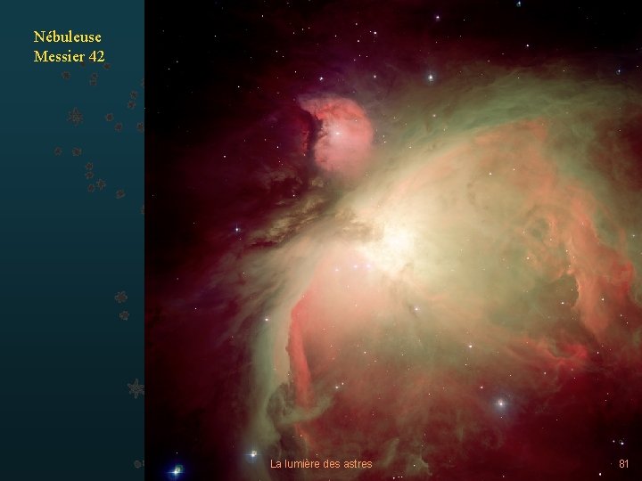 Nébuleuse Messier 42 La lumière des astres 81 