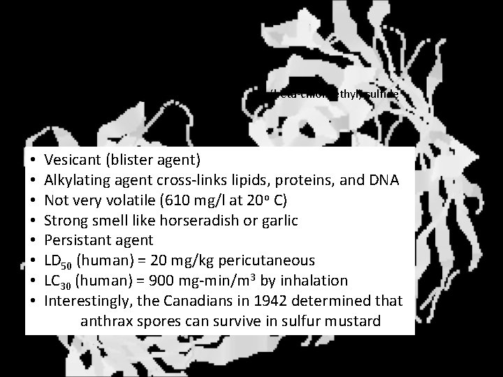 Sulfur Mustards Bis (beta-chloroethyl) sulfide • • Vesicant (blister agent) Alkylating agent cross-links lipids,