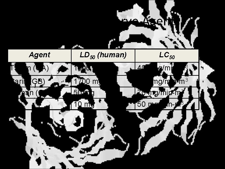 Toxicity of Nerve Agents Agent LD 50 (human) LC 50 Tabun (GA) 1000 mg