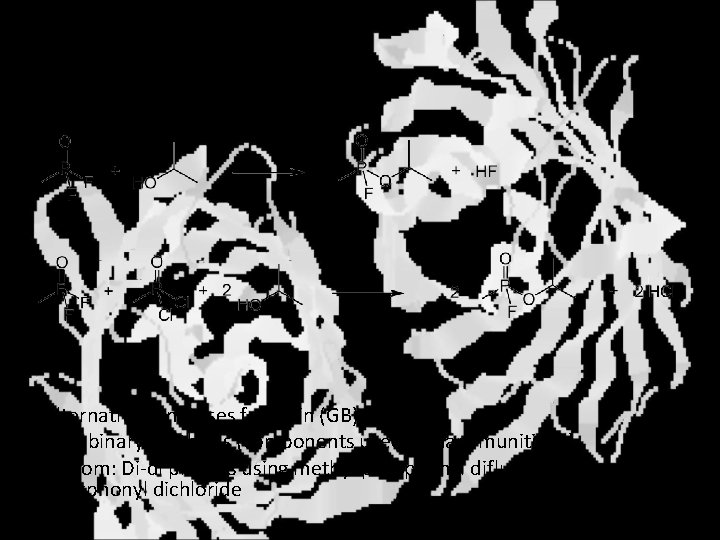 Synthesis (cont. ) Alternative syntheses for sarin (GB) Top: binary synthesis (components used in