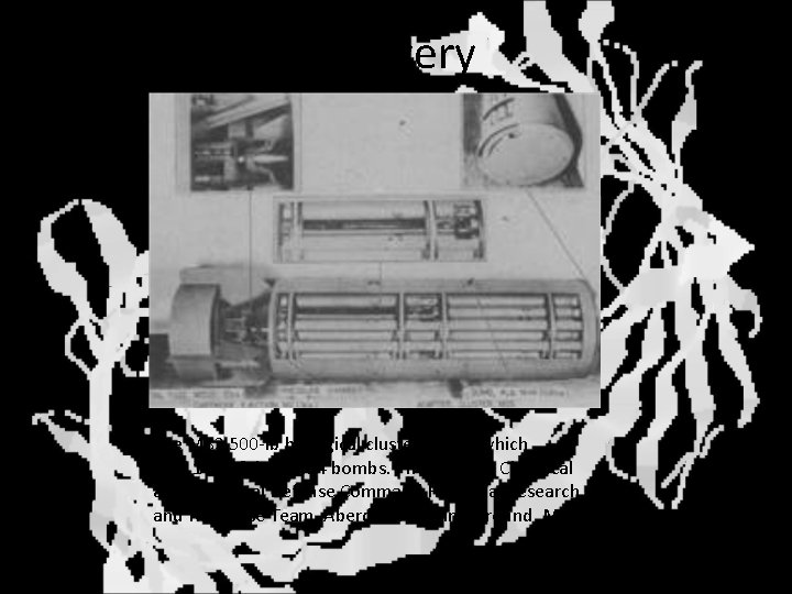 Delivery The M 33 500 -lb biological cluster bomb, which held 108 of the