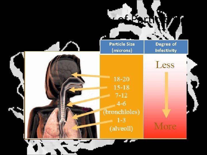 Delivery – Criticality of Particle Size (microns) Degree of Infectivity 