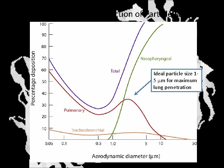 Target Penetration as a Function of Particle Size Ideal particle size 15 mm for