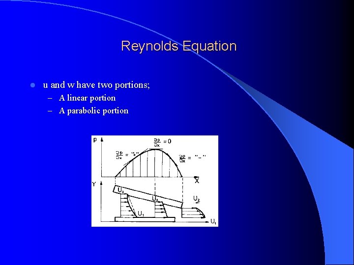 Reynolds Equation l u and w have two portions; – A linear portion –