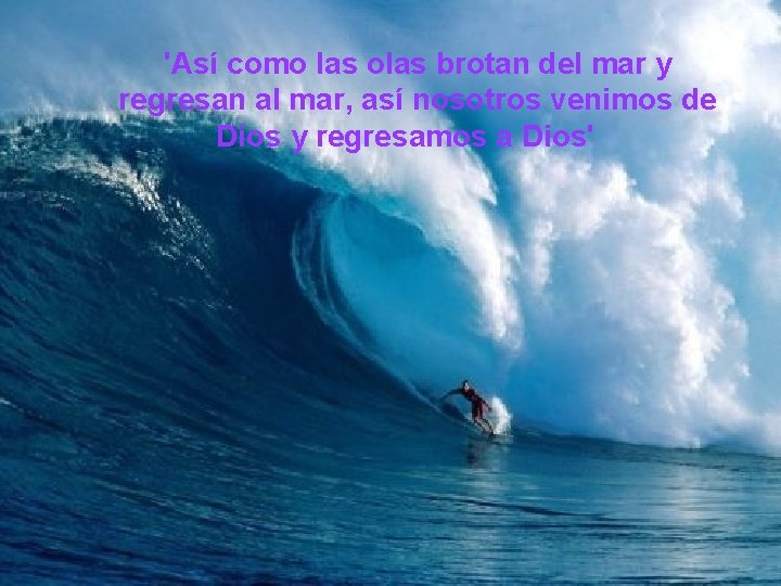 'Así como las olas brotan del mar y regresan al mar, así nosotros venimos