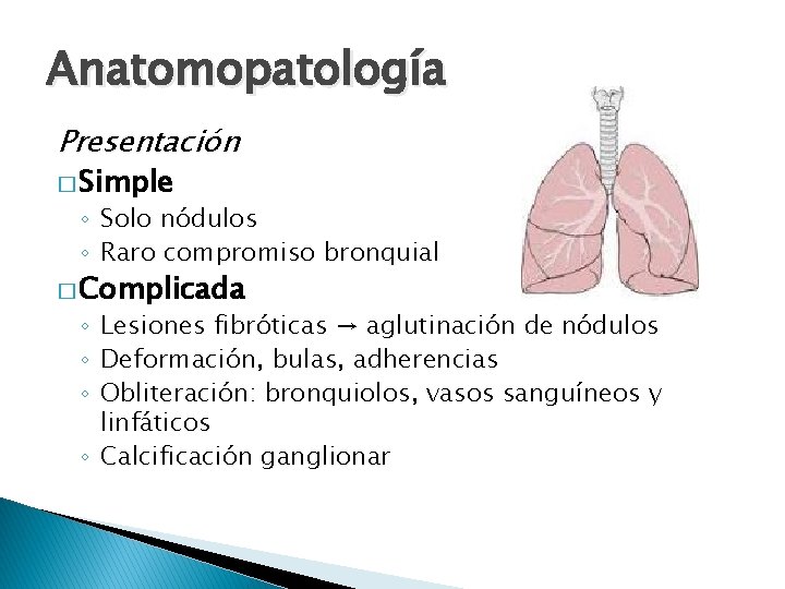 Anatomopatología Presentación � Simple ◦ Solo nódulos ◦ Raro compromiso bronquial � Complicada ◦