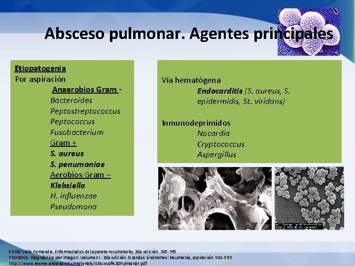 Absceso pulmonar. Agentes principales Etiopatogenia Por aspiración Anaerobios Gram Bacteroides Peptostreptococcus Peptococcus Fusobacterium Gram