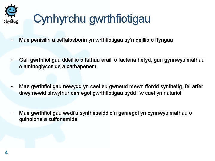 Cynhyrchu gwrthfiotigau 4 • Mae penisilin a seffalosborin yn wrthfiotigau sy’n deillio o ffyngau