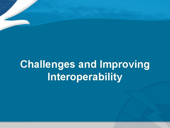 Challenges and Improving Interoperability 
