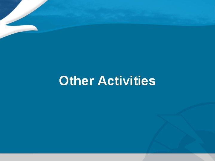 Other Activities 