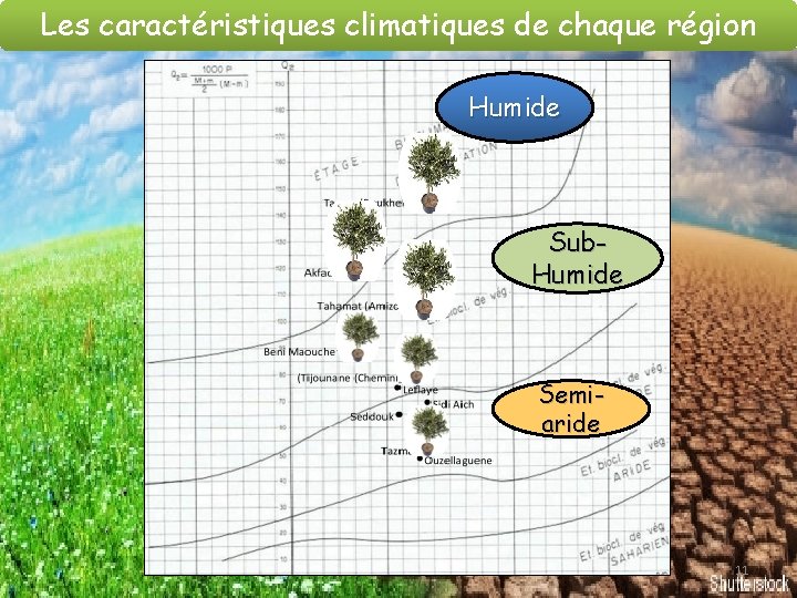 Les caractéristiques climatiques de chaque région Humide Sub. Humide Semiaride 11 