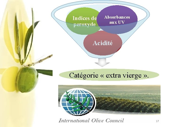 Indices de peroxyde Absorbances aux UV Acidité Catégorie « extra vierge » . 17