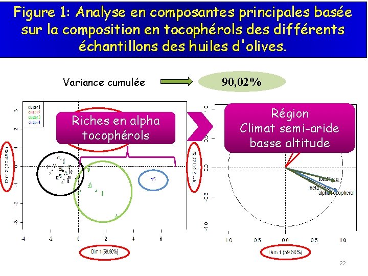 Figure 1: Analyse en composantes principales basée sur la composition en tocophérols des différents