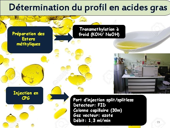 Détermination du profil en acides gras Préparation des Esters méthyliques Injection en CPG Transmethylation