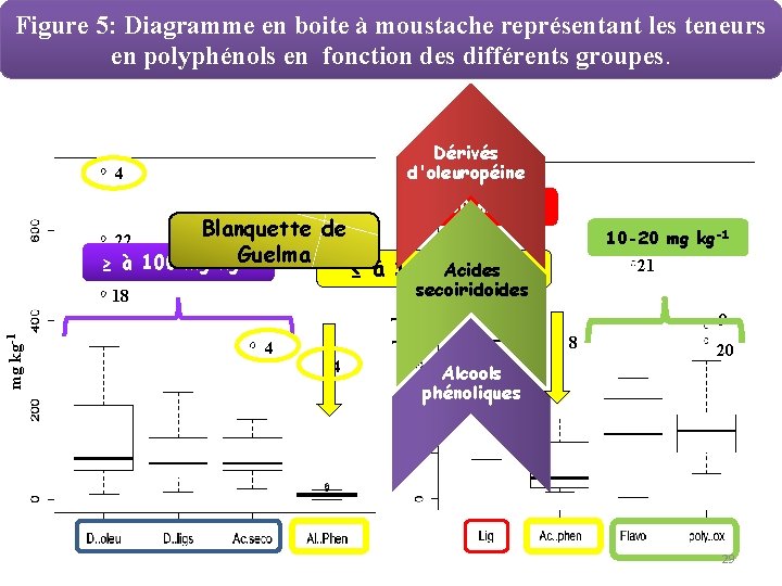 Figure 5: Diagramme en boite à moustache représentant les teneurs en polyphénols en fonction