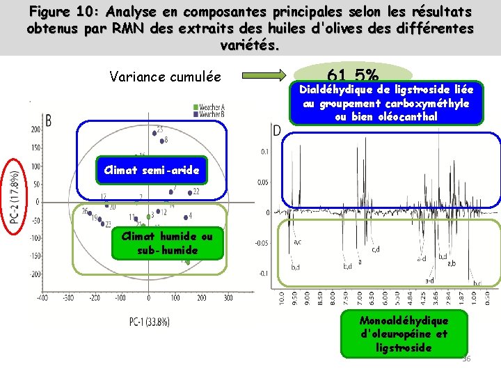 Figure 10: Analyse en composantes principales selon les résultats obtenus par RMN des extraits