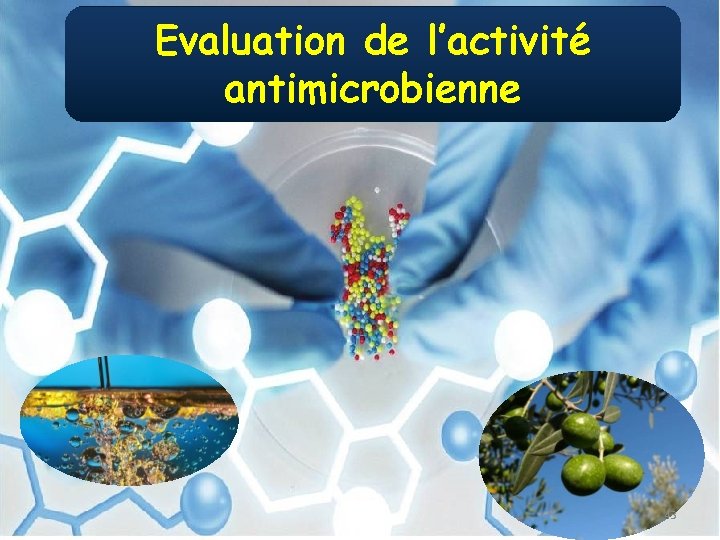 Evaluation de l’activité antimicrobienne 43 