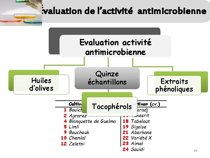 Évaluation de l’activité antimicrobienne Evaluation activité antimicrobienne Quinze échantillons Huiles d’olives 1 2 4