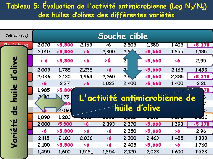 Tableau 5: Évaluation de l'activité antimicrobienne (Log N 0/N 1) des huiles d’olives différentes