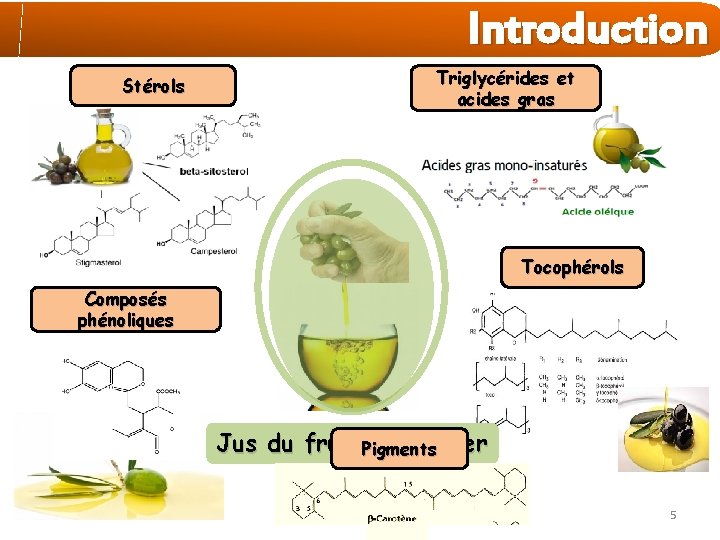 Introduction Stérols Triglycérides et acides gras Tocophérols Composés phénoliques Jus du fruit Pigments de