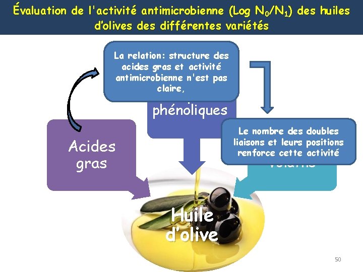 Évaluation de l'activité antimicrobienne (Log N 0/N 1) des huiles d’olives différentes variétés La