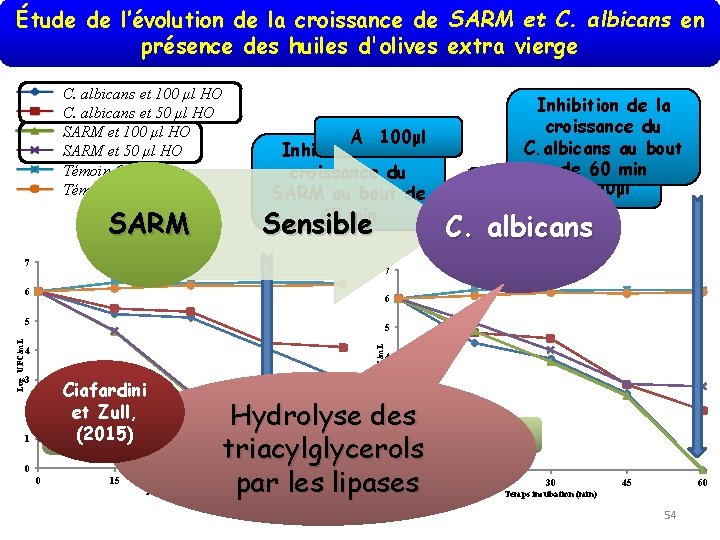 Étude de l’évolution de la croissance de SARM et C. albicans en présence des