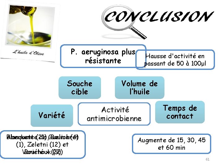 P. aeruginosa plus résistante Souche cible Variété Blanquette Aberkane (21), de Guelma Bouichret (4)